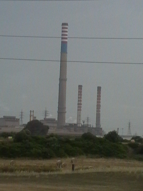 Foraggio raccolto vicino allIlva di Taranto