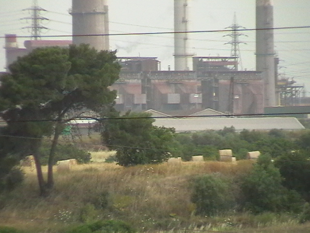 Foraggio raccolto vicino allIlva di Taranto Foraggio raccolto vicino allIlva di Taranto