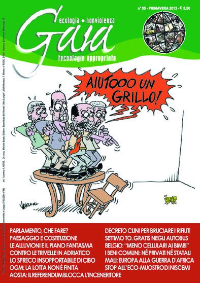 GAIA- Rivista dell'Ecoistituto del Veneto 